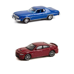Muscle Series 26