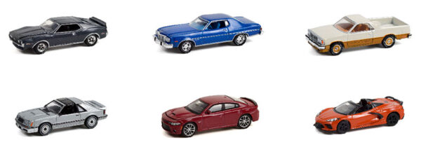 Muscle Series 26